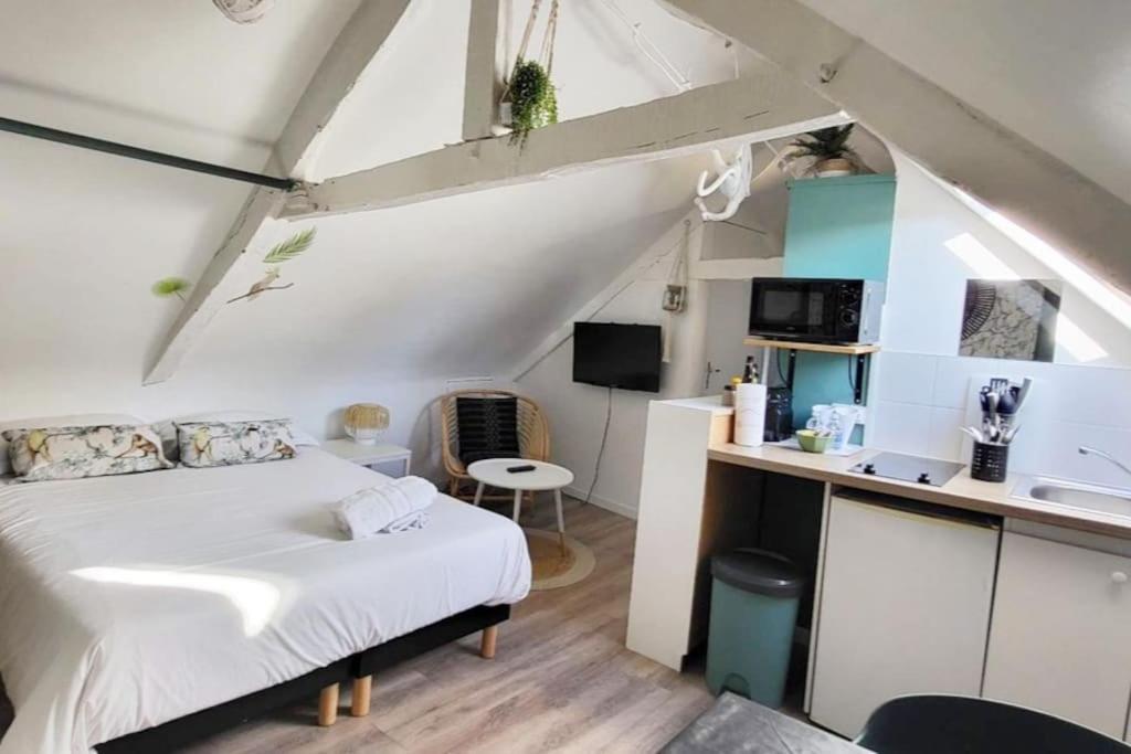 La Cabane - Petit Studio Mansarde - Plage 50M - Rue Gratuite Saint-Malo Ngoại thất bức ảnh